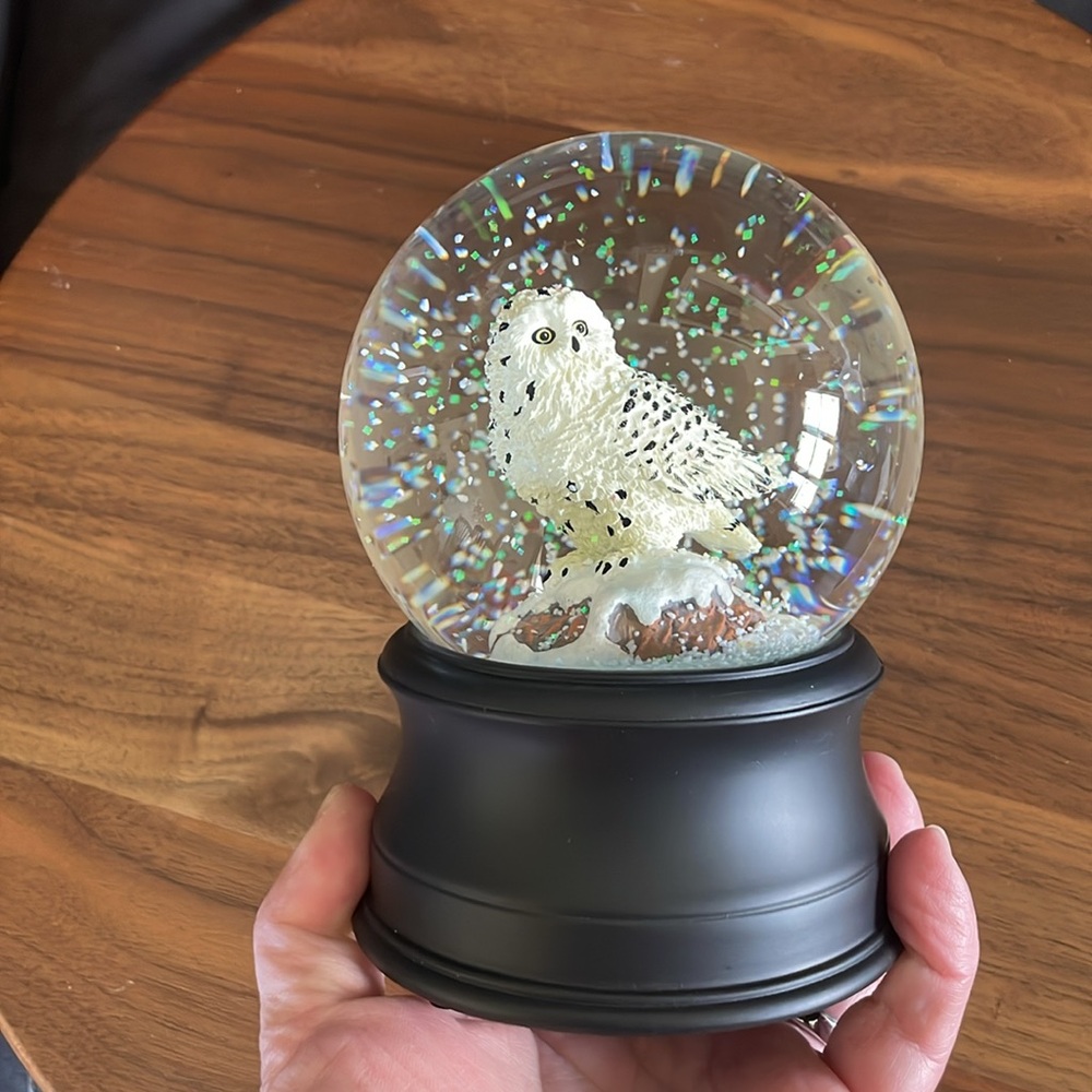 Snowy Owl Snow Globe Music Box